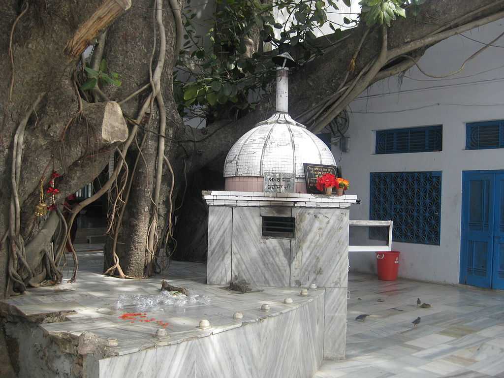 pic3